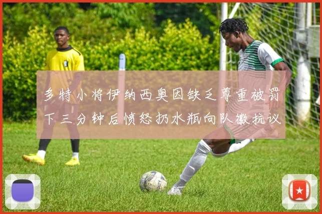 多特小将伊纳西奥因缺乏尊重被罚下三分钟后愤怒扔水瓶向队徽抗议